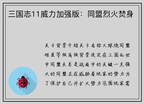 三国志11威力加强版：同盟烈火焚身