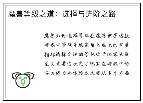 魔兽等级之道：选择与进阶之路